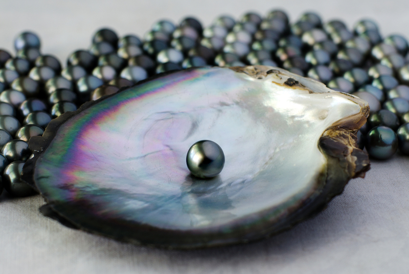 Inside the Oyster: How Pearls Are Formed | Shutterstock
